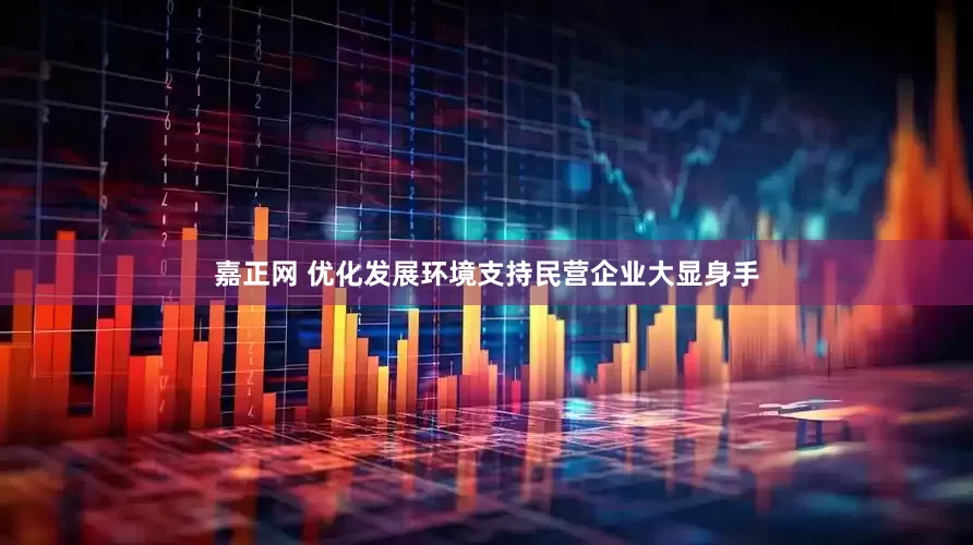 嘉正网 优化发展环境支持民营企业大显身手