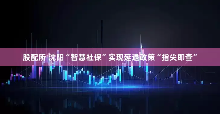 股配所 沈阳“智慧社保”实现延退政策“指尖即查”