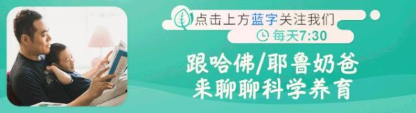 亿鑫网 从看不懂的Labubu到教不好的娃