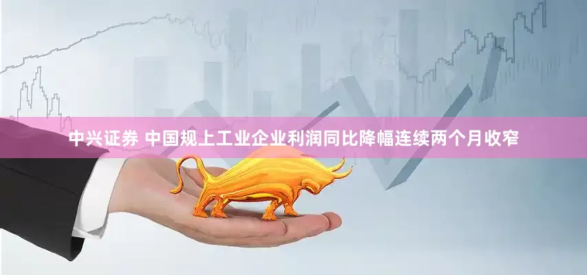 中兴证券 中国规上工业企业利润同比降幅连续两个月收窄
